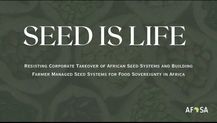 Tanzania Alliance for Biodiversity as a strategic partner to Alliance TABIO JOINS HANDS TO SEED IS LIFE CAMPAIGN SEED SOVEREIGNTY IS OUR LEGACY – PROTECT IT, EMPOWER IT, SHARE IT #FMSS #SeedIsLife #SeedSovereignty #FoodSovereignty 
Read the full Here
afsafrica.org