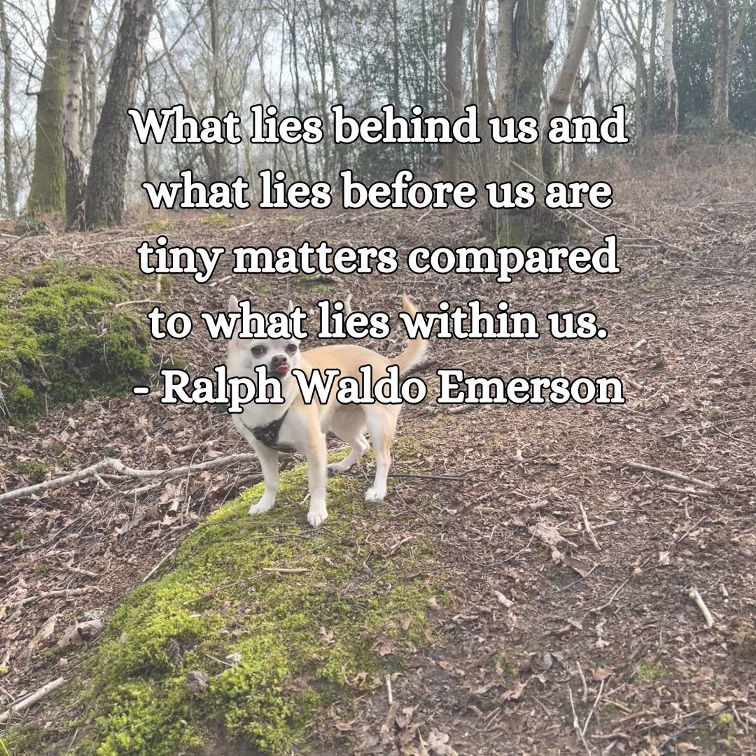 #ralphwaldoemerson #ralphwaldoemersonquotes #whatlieswithin #beingmindful #beingspirtual #spiritualquote #curiousaboutspirit #curiousaboutspirituality #chihuahuax #chihuahuaquotes