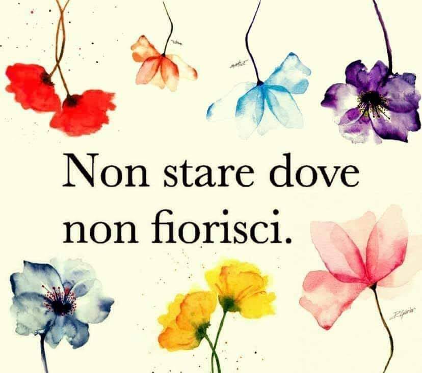 . 🪻🌷🌸🌺🌹🏵️🌻🌼 #VentagliDiParole #RiflessioniDiPrimavera