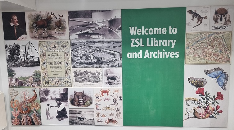 ZSL Library (@zsllibrary) on Twitter photo From the beginning of May we will be open on Thursdays as well as Tuesdays and Wednesdays 10.30am-5pm.
Please email library@zsl.org in advance of your visit. We are open to all but please make an appointment ahead of your visit. See you soon?📚🦩🦒🦀🐢🐠 From the beginning of May we will be open on Thursdays as well as Tuesdays and Wednesdays 10.30am-5pm.
Please email library@zsl.org in advance of your visit. We are open to all but please make an appointment ahead of your visit. See you soon?📚🦩🦒🦀🐢🐠