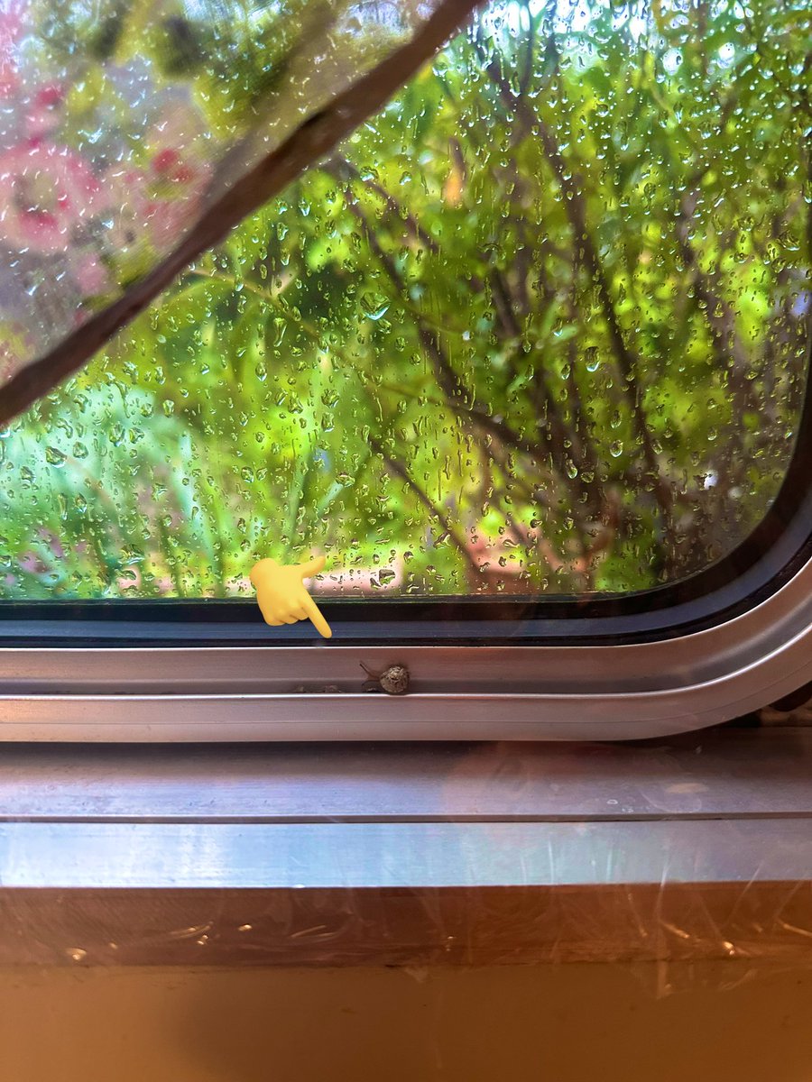 The weirdest thing with this mega rainy wet and overall awful weekend weather is this. A snail having had enough as well entered the boat through the little air holes of my window. That… has never happened before. 😅