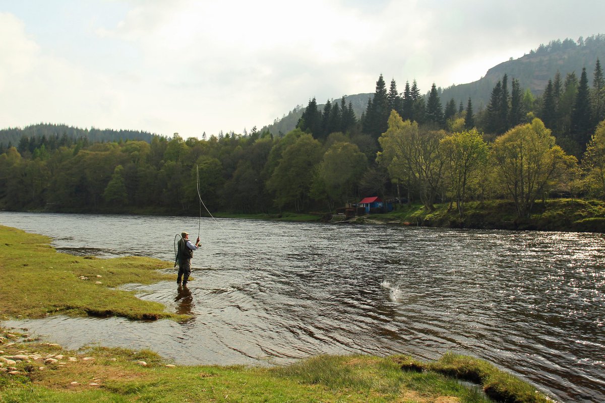 Good morning! From my angling archives, a day on the river.
#goodmorning #fishing #scotland #salmonfishing