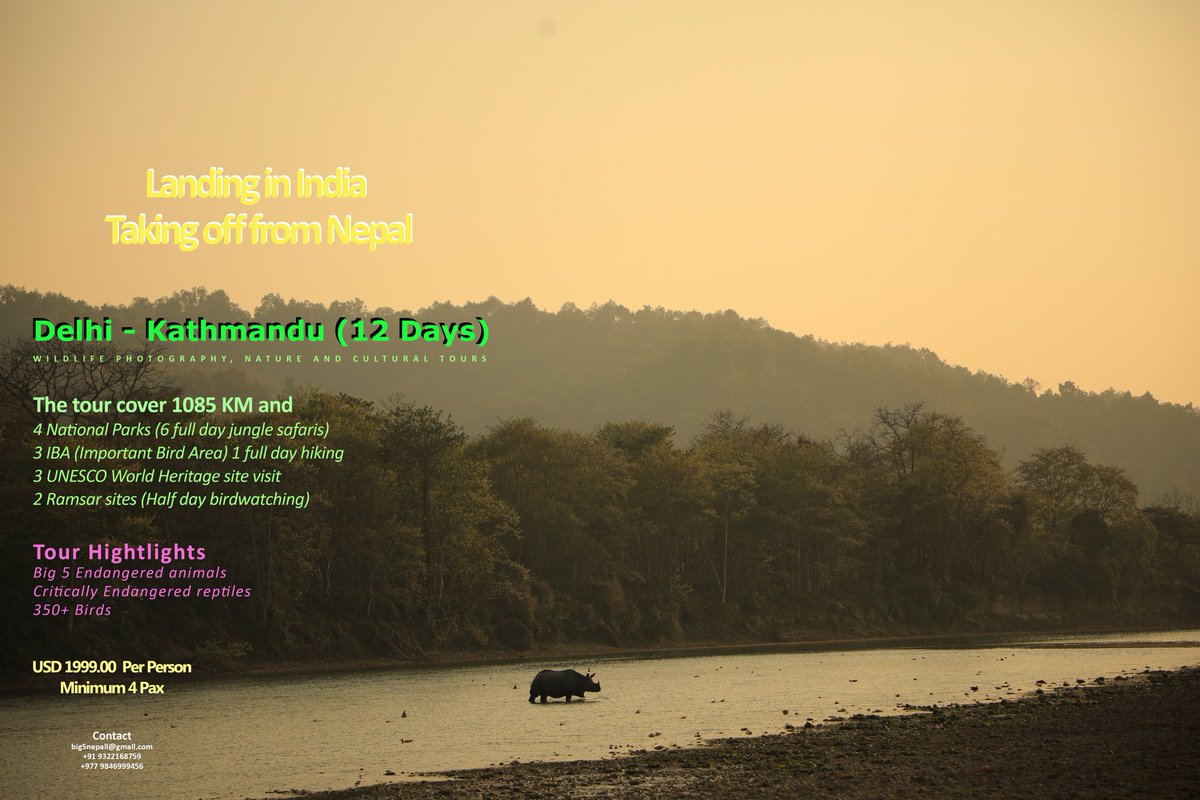 DG9322168759's tweet photo. The tours which you love. Let's explore the lower slopes of the mighty Himalayas. Terai region has much more to offer #lets_do_it
#contact
#big5safarisz
#little_brown_job
#Walk_with_Me #TheMysteriousWorld #hiddenindia
#greenplanet
#wildasia
#naturelover
#roadtrips https://t.co/cnzEr9OA2g