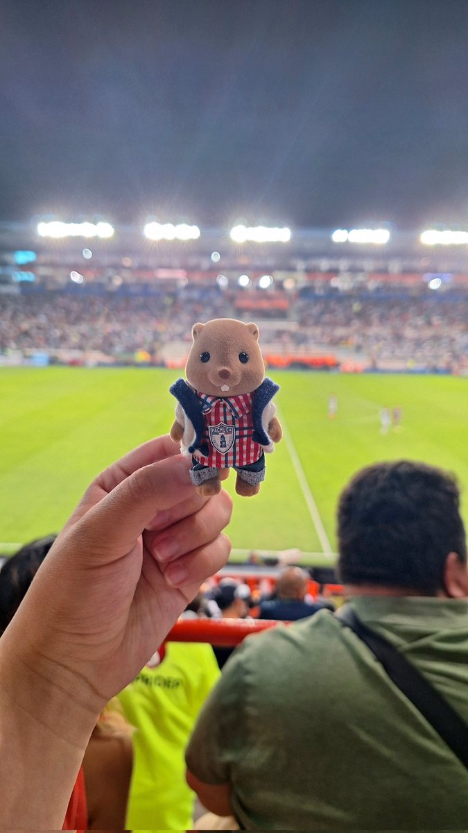 rafa pitotieso tweet media