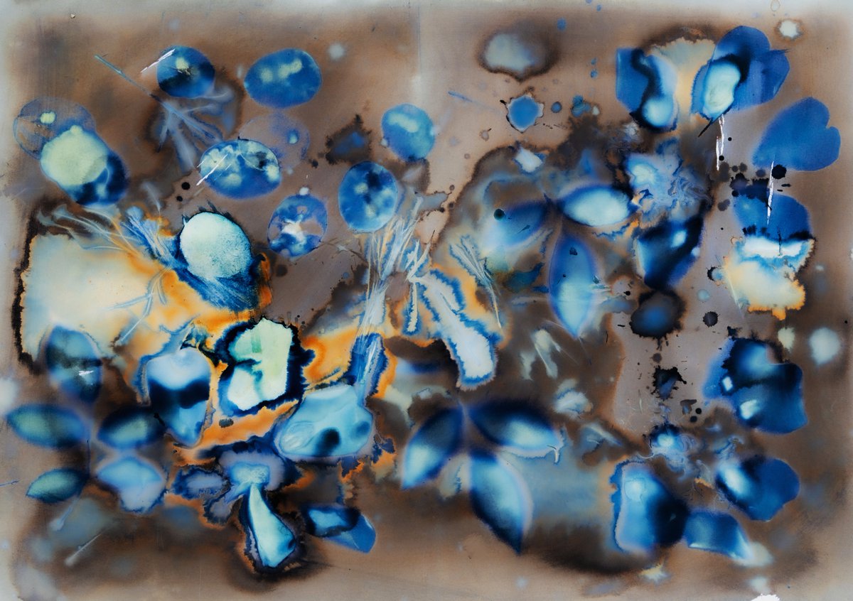 Blue Garden - Cyanotype art, born in the 19th century, blends science and art to create captivating blue-hued images. Using a photosensitive solution and materials collected from my garden. Exposure 2 hours, unwashed. @exchgART #solana #contemporaryart #nftphoto