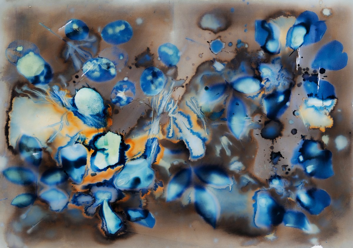 MyartNz's tweet image. Blue Garden - Cyanotype art, born in the 19th century, blends science and art to create captivating blue-hued images. Using a photosensitive solution and materials collected from my garden. Exposure 2 hours, unwashed. @exchgART #solana #contemporaryart #nftphoto…
