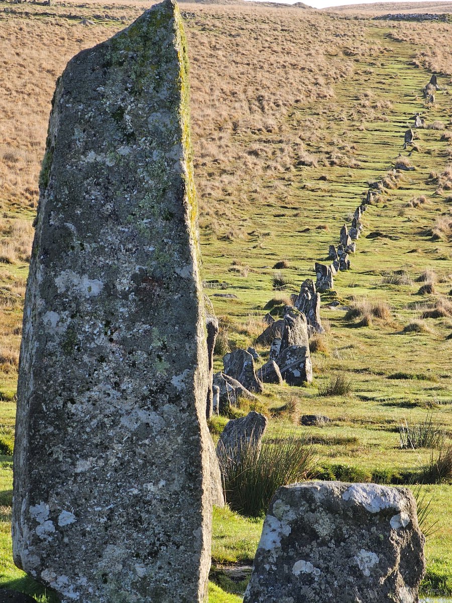 #StandingStoneSunday Glorious stone row, Dartmoor. Down Tor is one of my absolute favourites