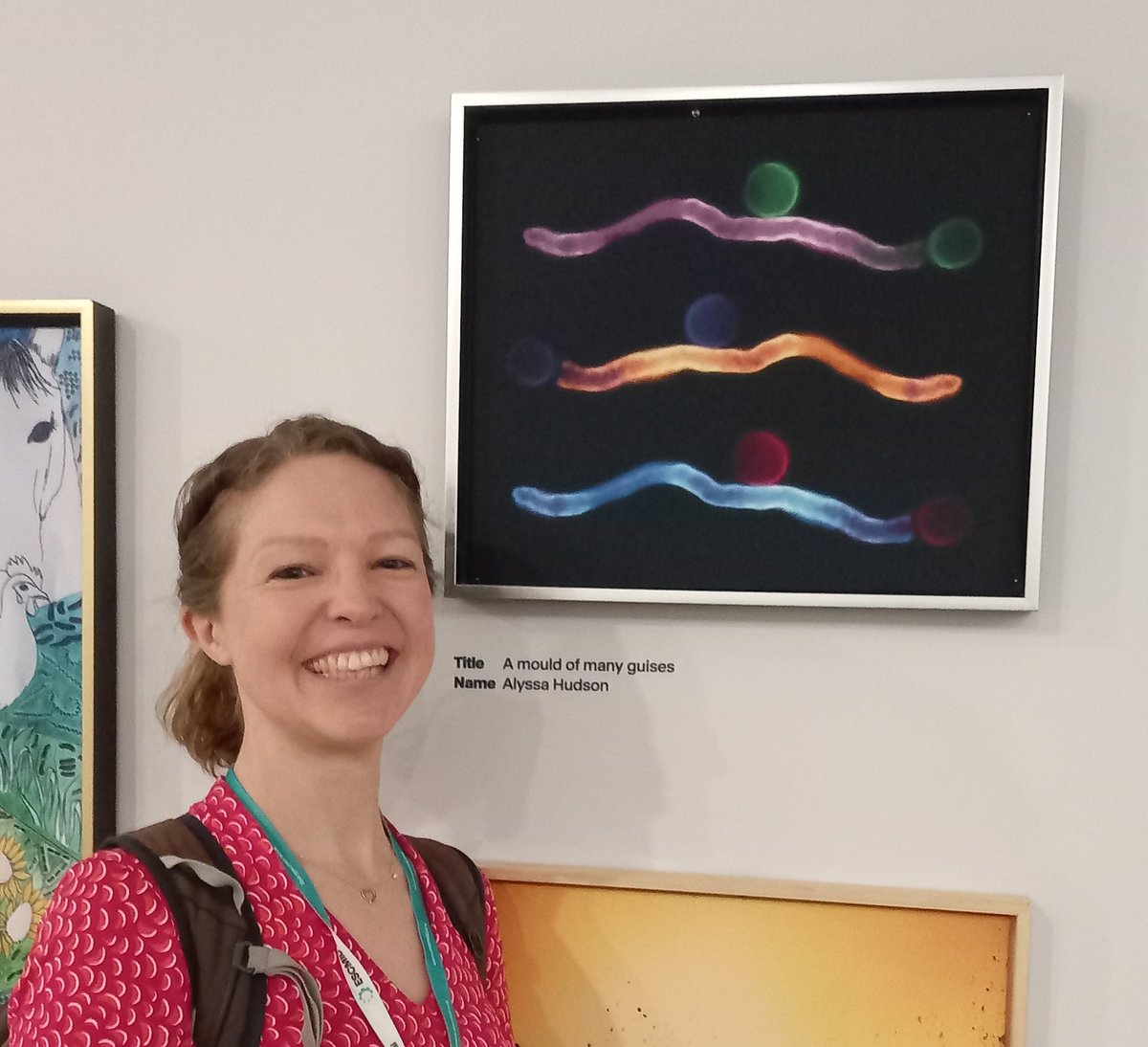 Check out the art gallery at #ECCMID2024 #ESCMIDGlobal2024 My image 'A mould of many guises' takes a One Health perspective on Rhizopus arrhizus, primary cause mucormycosis. Work from @MRCcmm with @BallouLab @NoahsPinkB