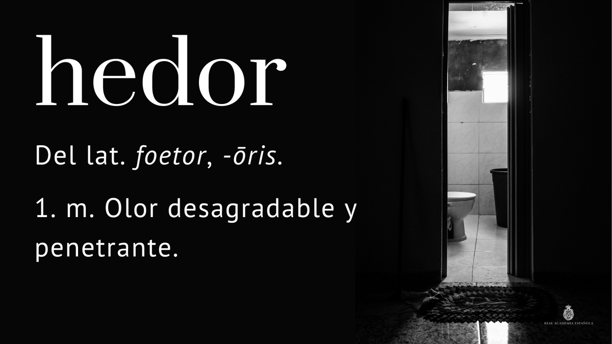 #PalabraDelDía | hedor

Están emparentadas en su origen con «hedor» —que, en el español general, se pronuncia [edór]— voces como «heder», «hediondo, da», «fétido, da» o «hedentina» (ow.ly/a38750Rj3bu).