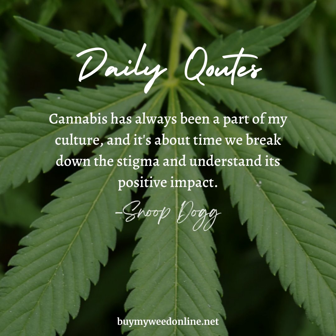 Embrace the cultural heritage of cannabis and join Snoop Dogg in advocating for its acceptance, aiming to dismantle stigma and highlight its positive influence on society. #MedicalCannabis #BMWO #buymyweedonline