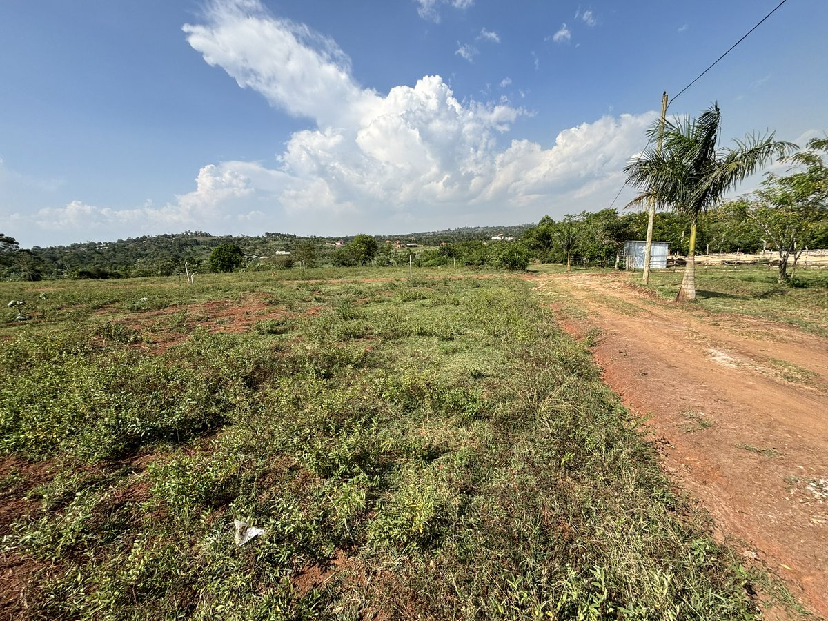 Plots for sale: Price: 40m ugx per plot Location: Just after Kira- Nakwero town 5 plots each of 100ft X 50ft remaining +256 708 732 104