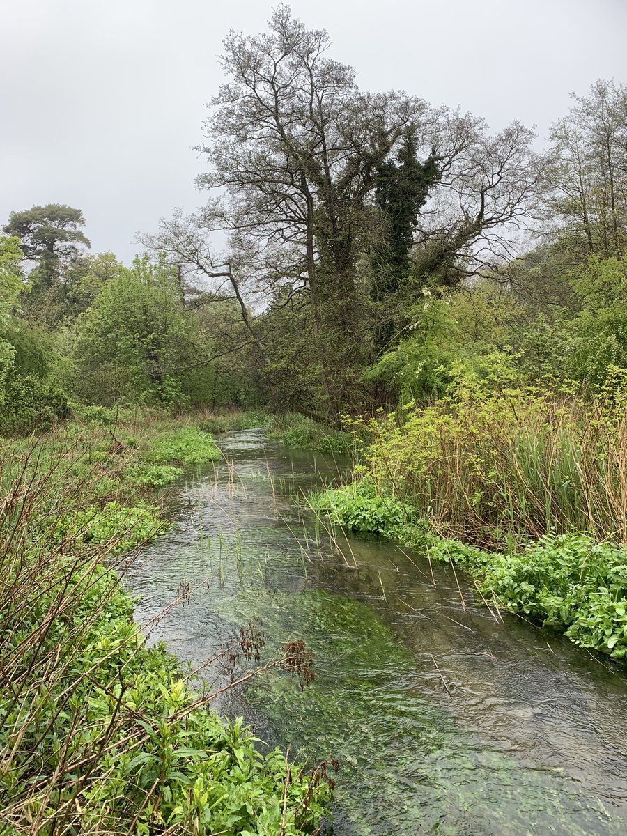 Bootiful #SundayMotivation ❤️#ChalkStreams