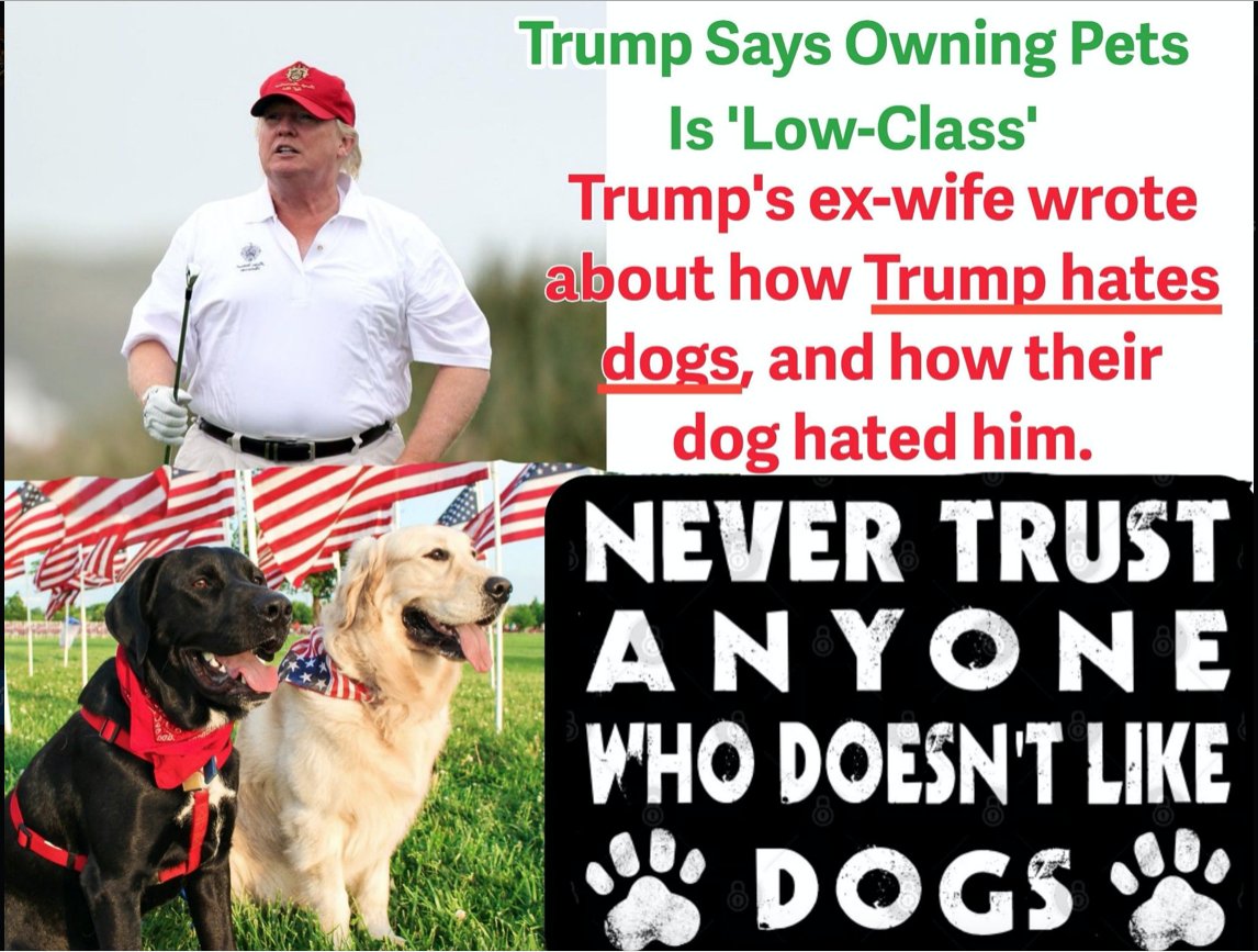 Dogs are great judges of character...MAGA Morons and other Trump Supporters not so much.