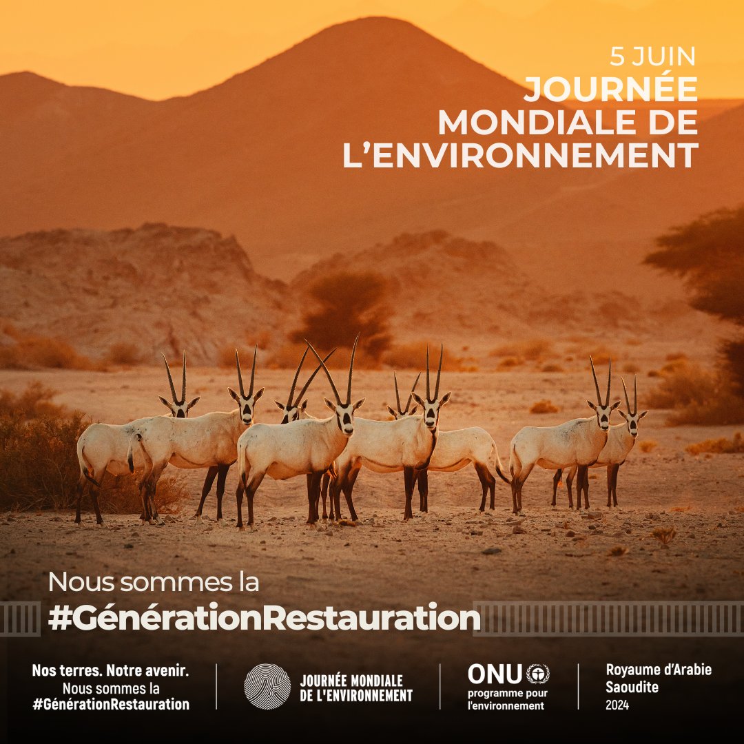 Le 5 juin, c'est la #JournéeMondialeDelEnvironnement. Cette année, la restauration des terres, la désertification et la résilience à la sécheresse sont mises en avant. Rejoignez la #GénerationRestauration, restaurons, sauvegardons nos terres et nos sols. worldenvironmentday.global/fr