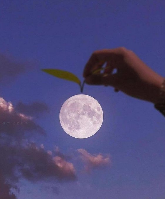 📸 - Four great photos that utilise the illusion of depth to create mash-ups of the moon with other worldly objects 🌕💡🌹 [🤳 skybyizzah]