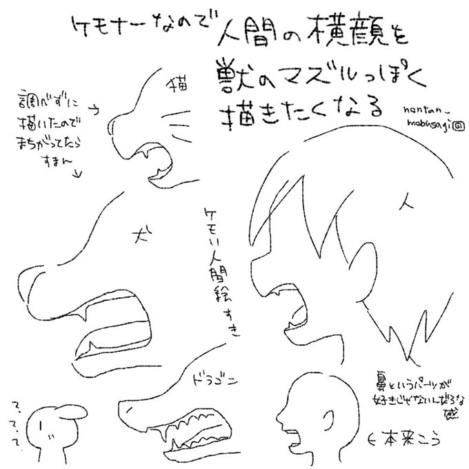 ã±ã¢ããŒãªã®ã§äººéã®æšªé¡ãç£ã®ããºã«ã£ãœãæããããªã