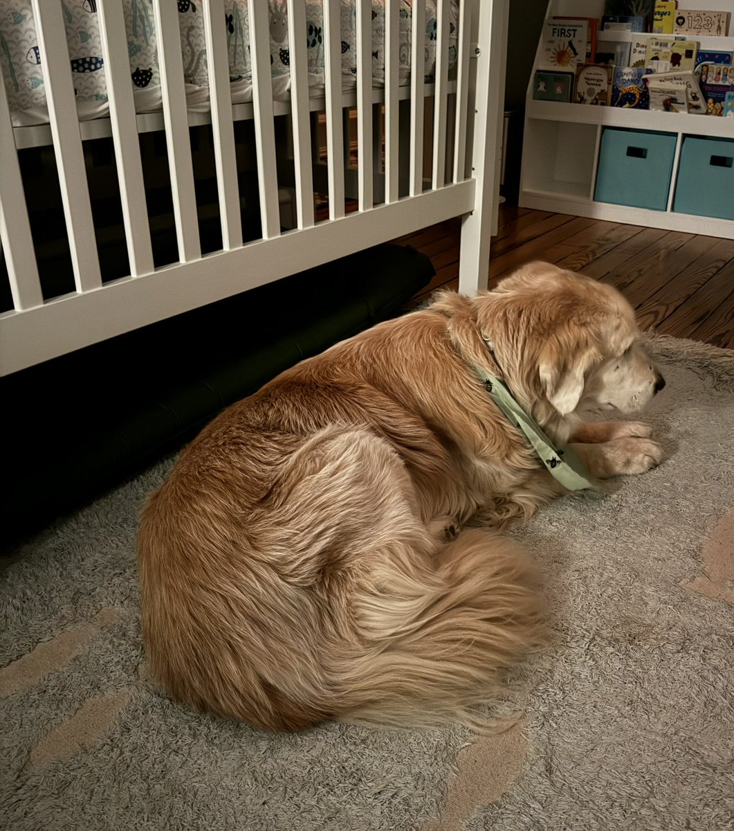 Your #dailywally says to get some sleep, he can handle the nighttime feedings