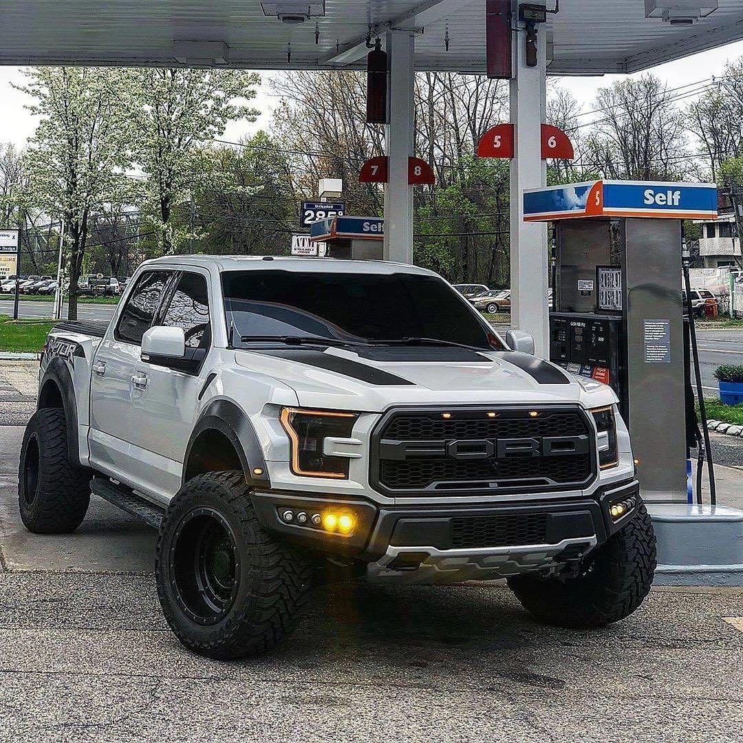 Raptor 😍