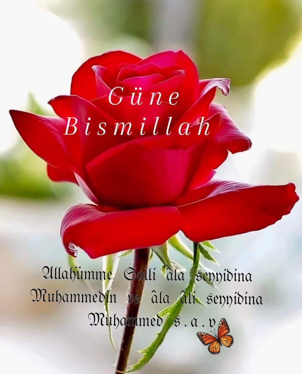 #ALLAH'ım

Ey Celal ve İkram Sahibi

Bizlere,
Yardımını daim kıl,
Sana gelen yolumuzu kolaylaştır.
Yaşarken de, Ölürken de,
Kabirde, mahşerde, mizanda, sıratta da,
Daim Rahmetinle muamele eyle,
Merhametini esirgeme 
#HayırlıSabahlar 
#Bismillahirrahmanirrahim 
#Gazze