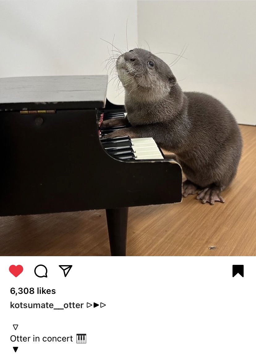 plume__'s tweet photo. look at the unbelievable soulfulness of his eyes. he’s really playing the piano https://t.co/ZXt98a7zm0