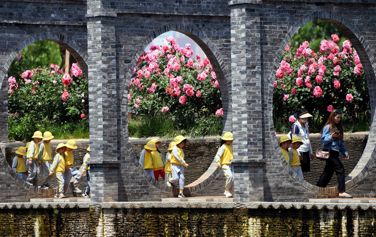 April 23-25: Kunming turned into a poetic paradise for the Third National Conference on Reading! 📖💐 Join us amidst rhododendrons, roses, and jacarandas for a celebration of literature in Spring City. #SpringReading #KunmingEvents