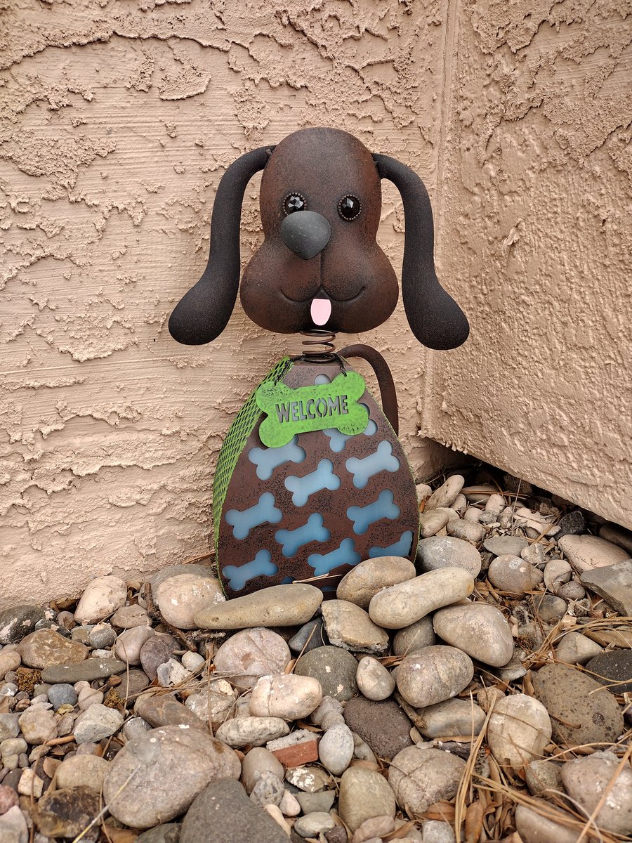 My neighbor's cute outdoor decor...
#dogs #doglovers