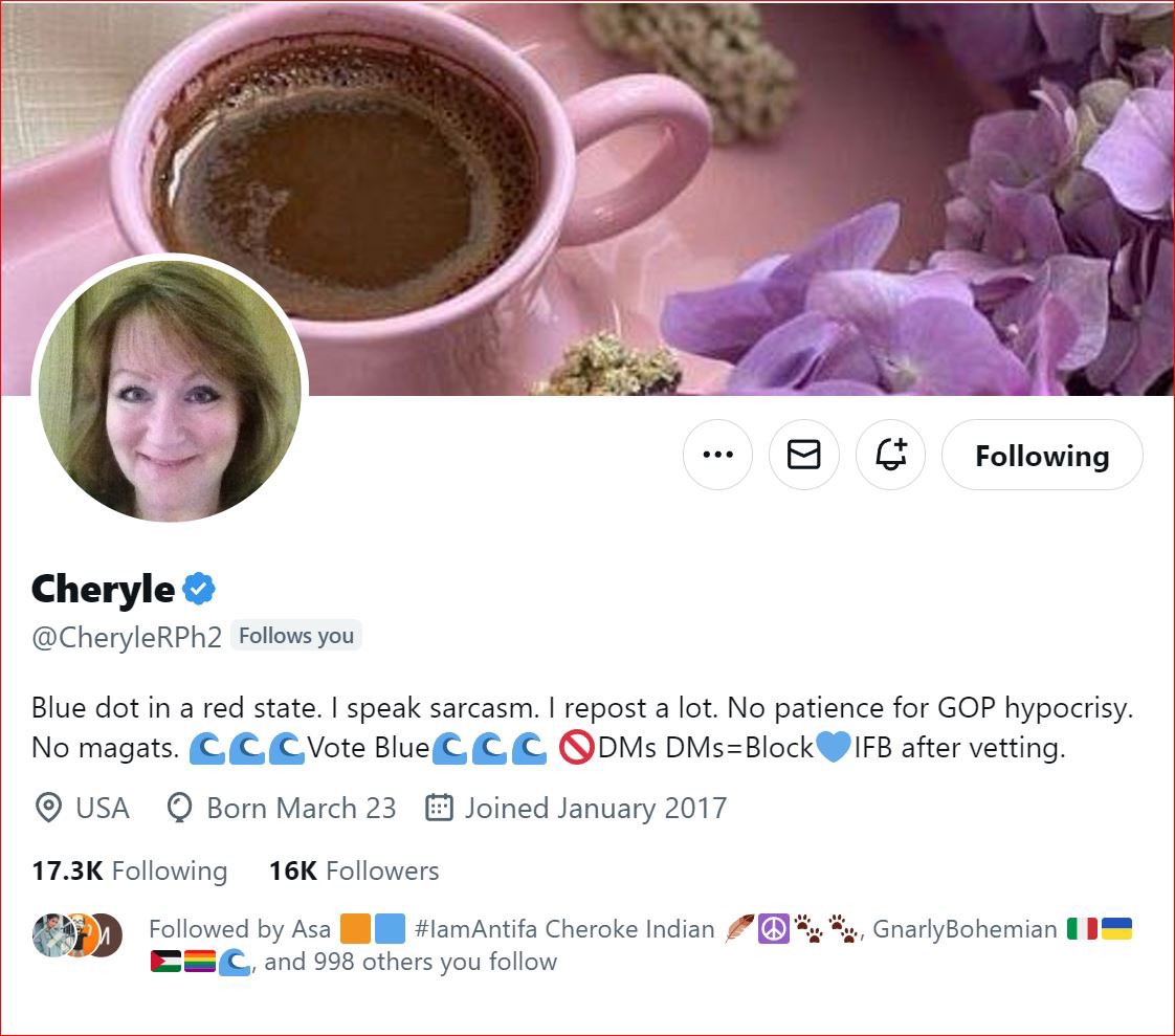 Please join the Flight Crew and Captain Tony @TonyHQ1985 in congratulating Cheryle @CheryleRPh2 She has hit 16K followers. Congratulations Cheryle. Here’s your certificate 💙✈️💙