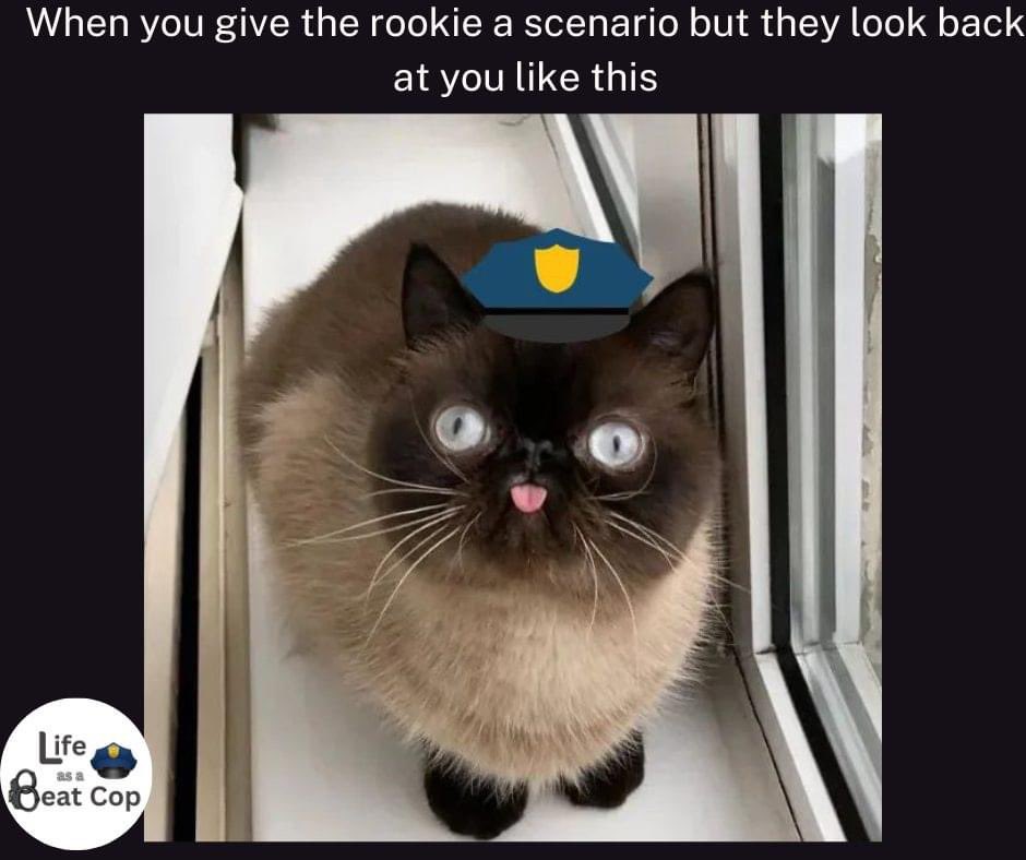 if this meme tickles your funny bone, you owe us a challenge coin! It's all in good spirits and will brighten up an officer's day at #policeweek2024 with a lucky challenge coin! 👉👉givebutter.com/ProtectingtheB… #protectingtheblue #luckycharm #oplive #opnation #becarefuloutthere