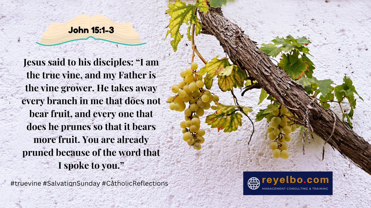 Apr 28, 2024 | Salvation Sunday
#TrueVine #catholicreflection #SalvationSunday