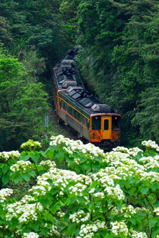 Pingxi Tonghua Train