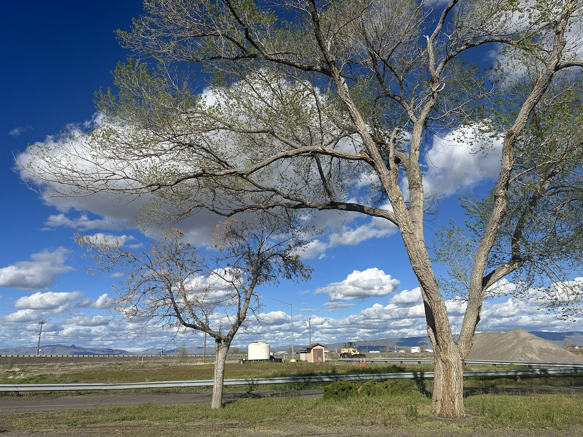 Dennis Shiao (he/him) tweet media