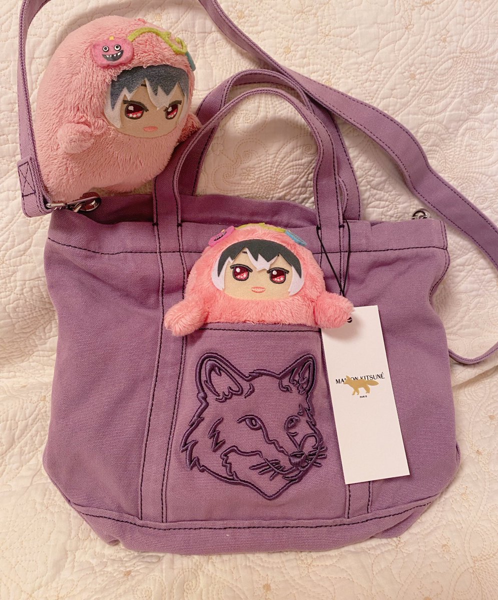 「モンがみっちりちょうど入るポケットあるのも最高」|さな🦊🍇のイラスト