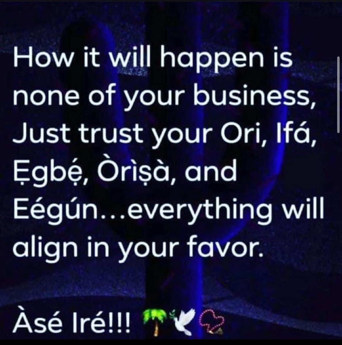 ifaleke oluwo (@michealdick123) on Twitter photo 