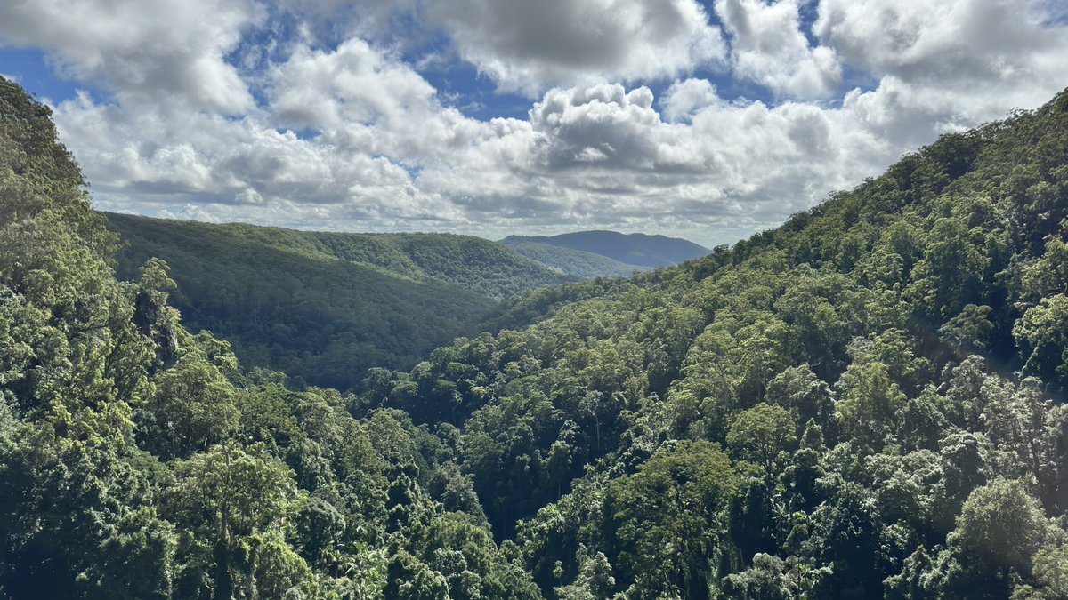 The beauty of Springbrook and Purlingbrook falls