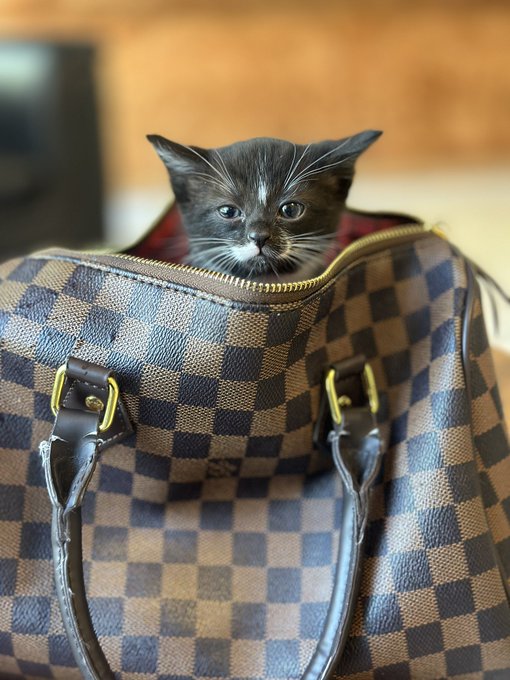 Hi 🤍 https://t.co/ToMA1e70UE<a href="/tag/earthquake"class="tags"><span>#earthquake</span></a>