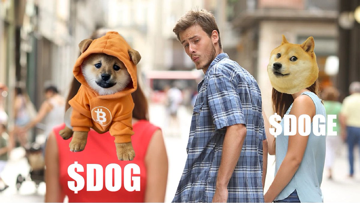 Leonidas 🧡 $DOG tweet media