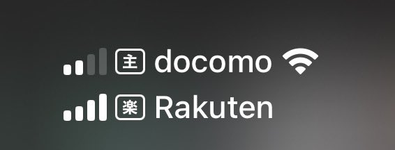 楽天の株主優待で楽天モバイルeSIM入れてデュアルSIMにした。ahamoより電波入る。