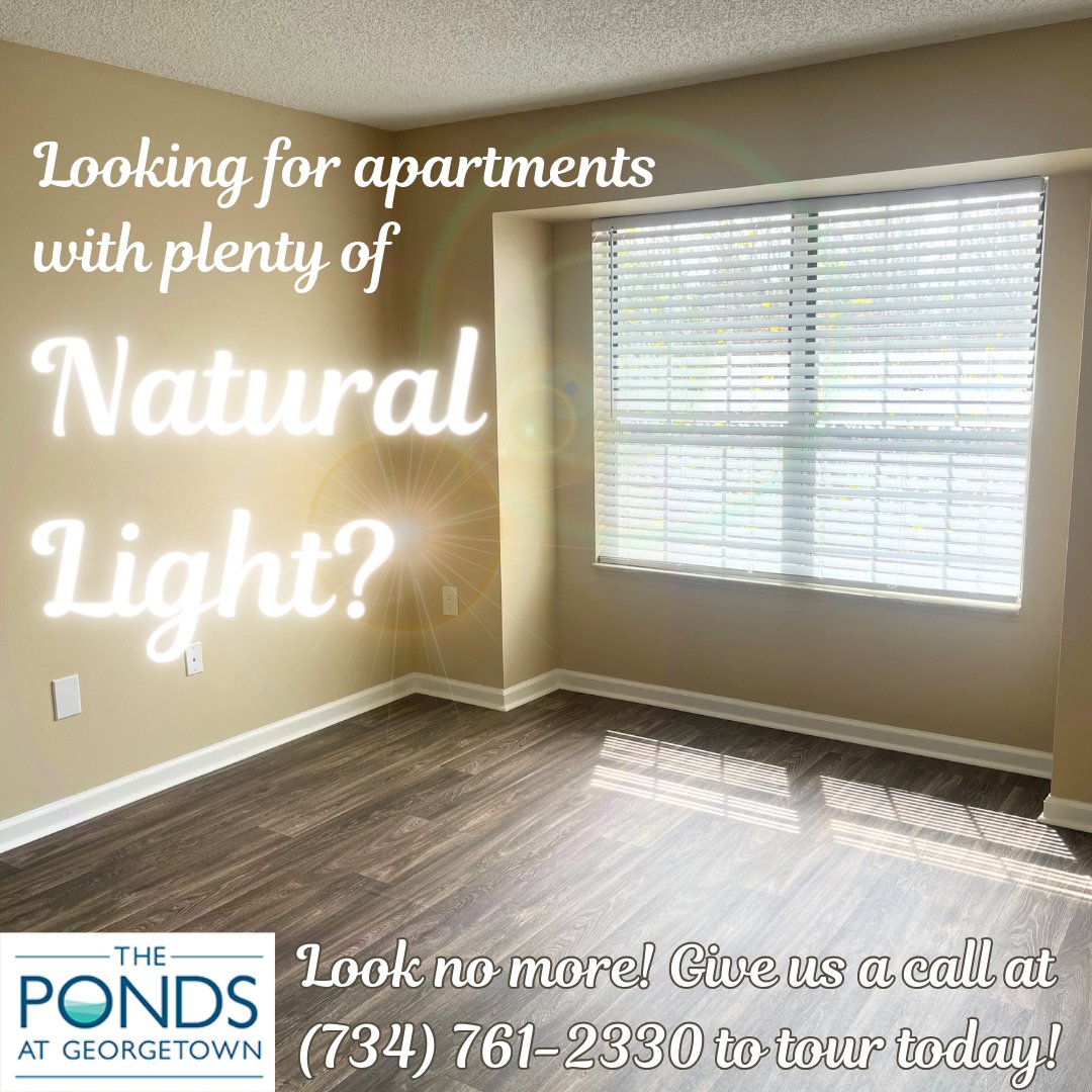 All of our apartment homes at #ThePondsatGeorgetown can offer tons of natural light and even amazing views of our ponds! Give us a call at (734) 761-2330 if you'd like to tour and see for yourself!