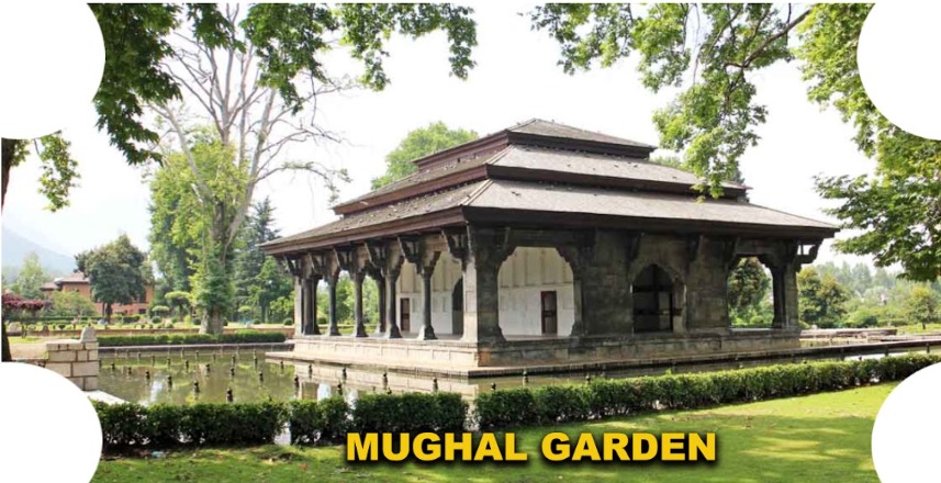 #MughalGardens in Srinagar, was an iconic symbols of India's rich heritage, known for their exquisite beauty  architecture. They stand as a testament to our history and the artistic brilliance of the Mughal era. #KashmirHeritage #WorldHeritageDay #kashmirtourism #kashmir