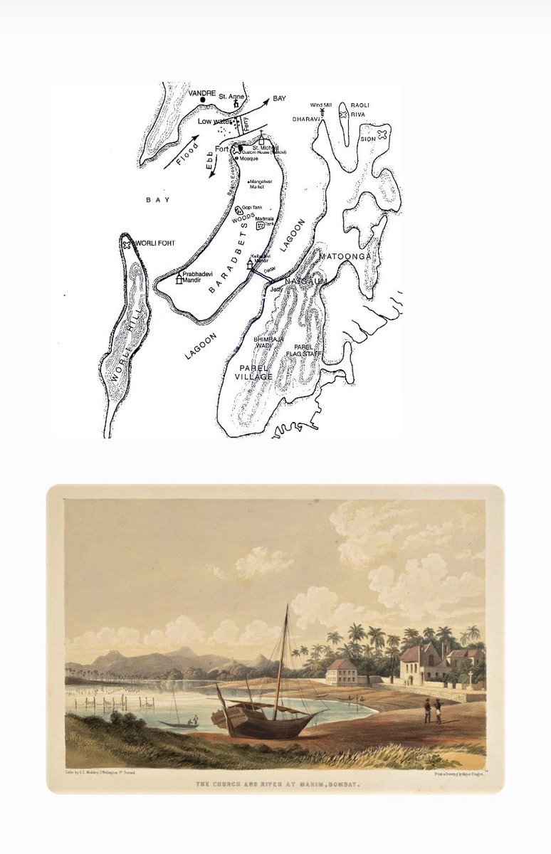 Sumedha Raikar tweet media