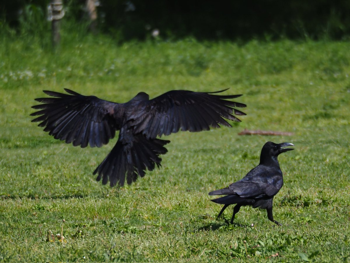 locco178's tweet image. かーくん
#OM5 #mzuiko75300 #procap