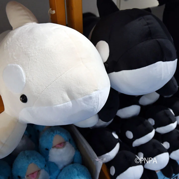 名古屋港水族館 on X: 