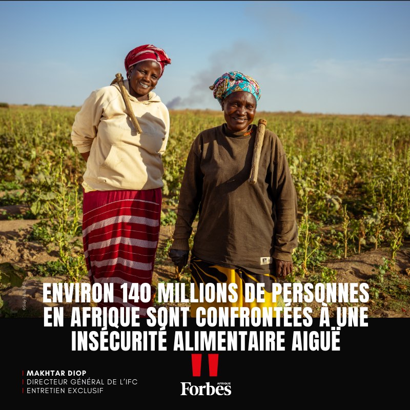 🔴Makhtar Diop : Les Défis Entravant Le Potentiel Agricole De l’Afrique

🔴Dans cette interview exclusive pour Forbes Afrique, Makhtar Diop, directeur général de l’IFC (Société financière internationale, filiale de la Banque mondiale dédiée au financement du secteur privé),…