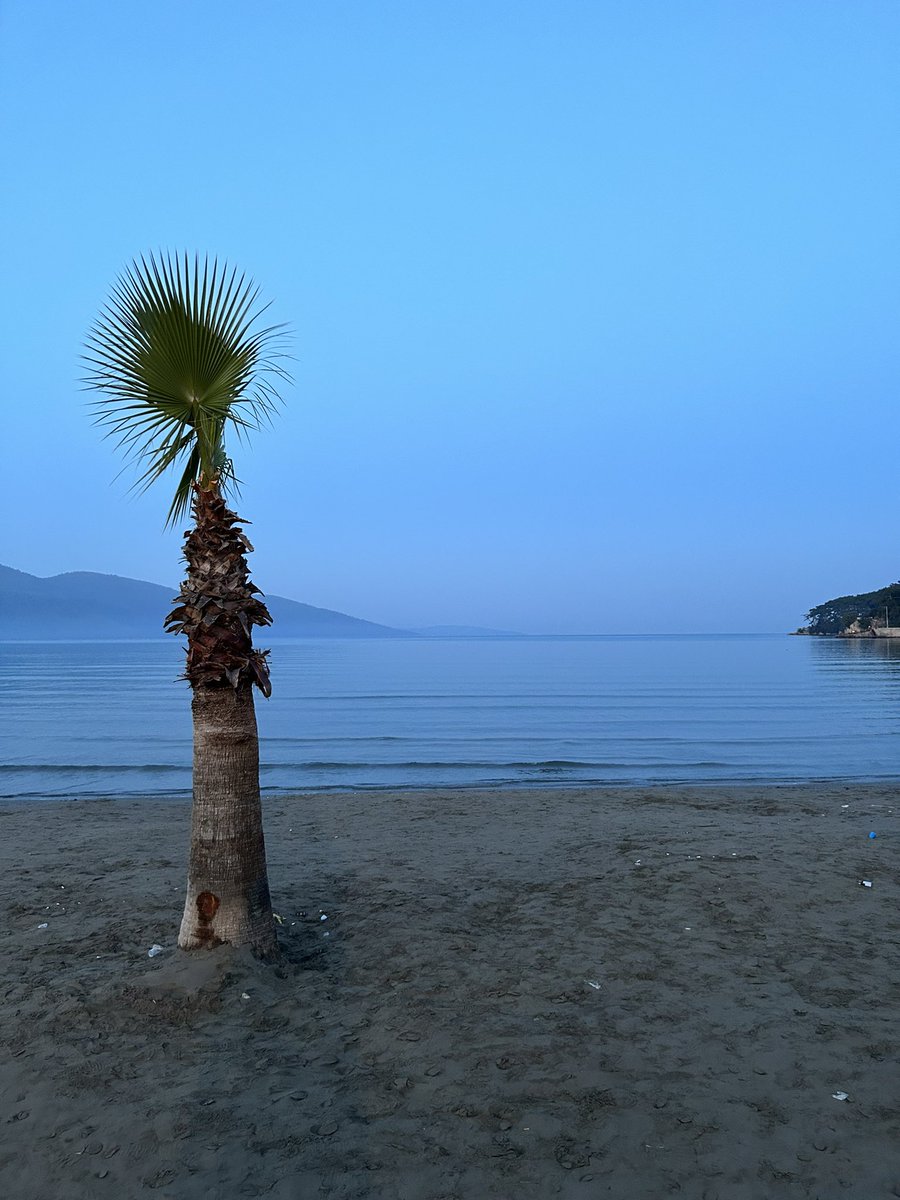 🧘 Sakin ve huzurlu Pazar gününden herkese günaydın

Bazen oturup kafanızı ve düşüncelerinizi dinlemeniz gerekir, bunu yapmak size hayatta daha iyi kararlar almanızı, mutlu olmanızı sağlar. İyi bir psikoloji iyi kazançları getirir. 

Her zaman pozitif kalmaya çalışın hayat