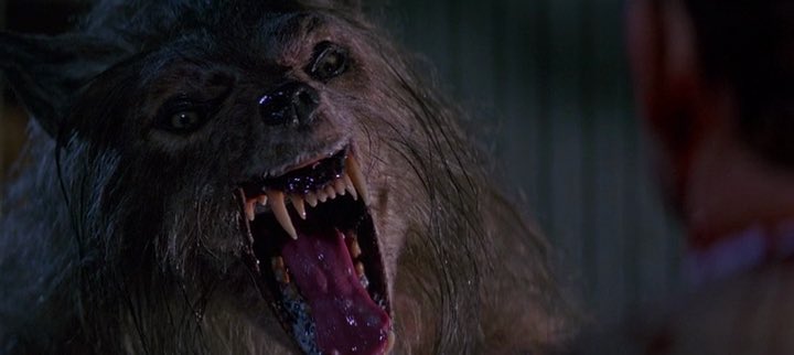 Bad Moon (1996) is a fun(ish) #horror movie that I half-remembered from 28 years ago. Did it stand the test of time? Not really.

The plot is so basic; it boils down to “Uncle Ted is a werewolf and only the dog knows it.” Some character development would help me care more. (5/10)
