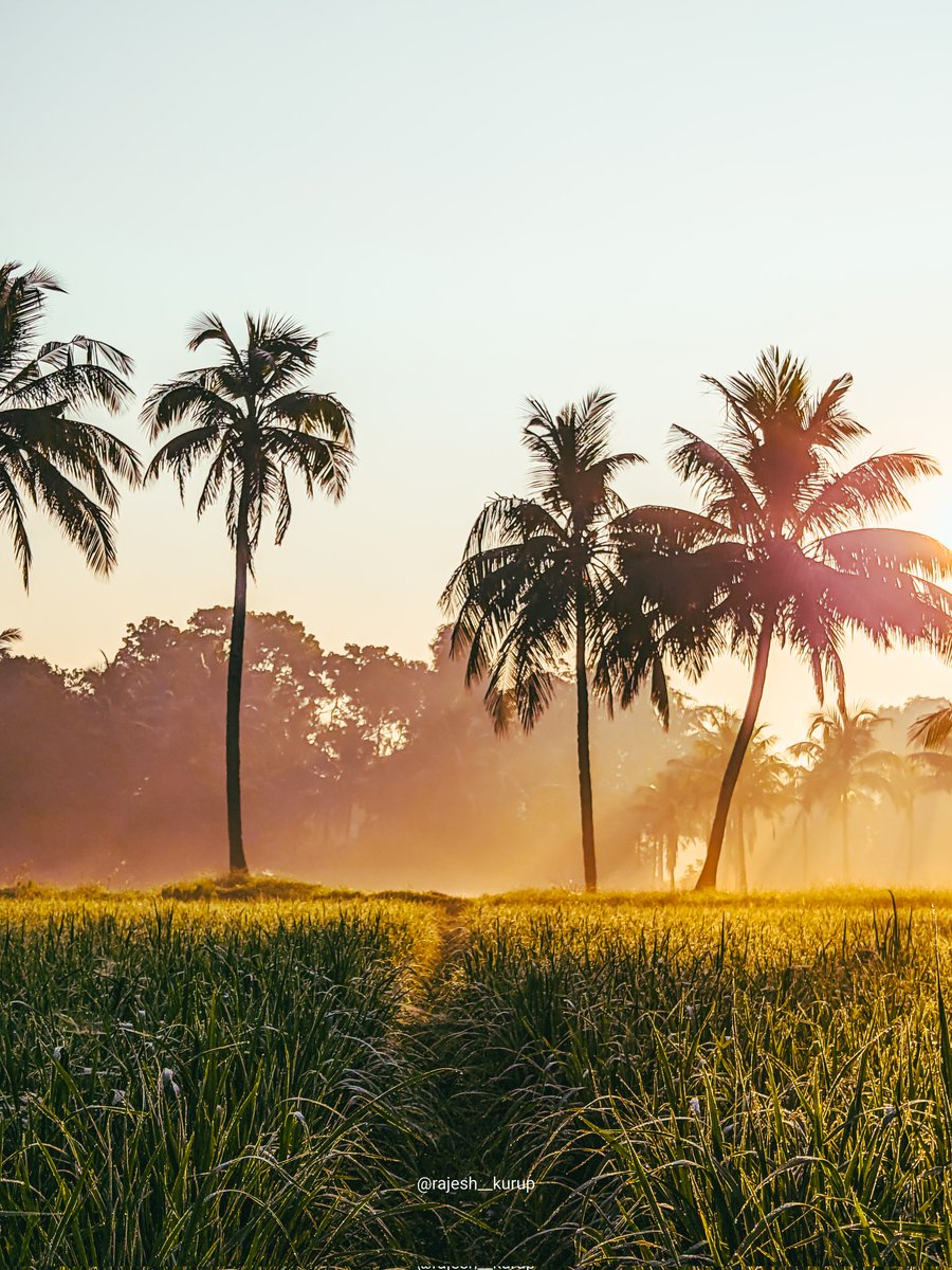 Morning Bliss..

Shot on Poco M2 Pro powered by @Snapdragon @Snapdragon_IN 
@POCOGlobal @IndiaPOCO 

#ShotOnSnapdragon  #CelebrateWithSnapdragon #leadinglines
#Snapdragoninsider
 #UnitedBySnapdragon  #ShotOnSnapdragon @gregcroc @Snapdragon_UK 
@Lightroom @unsplash