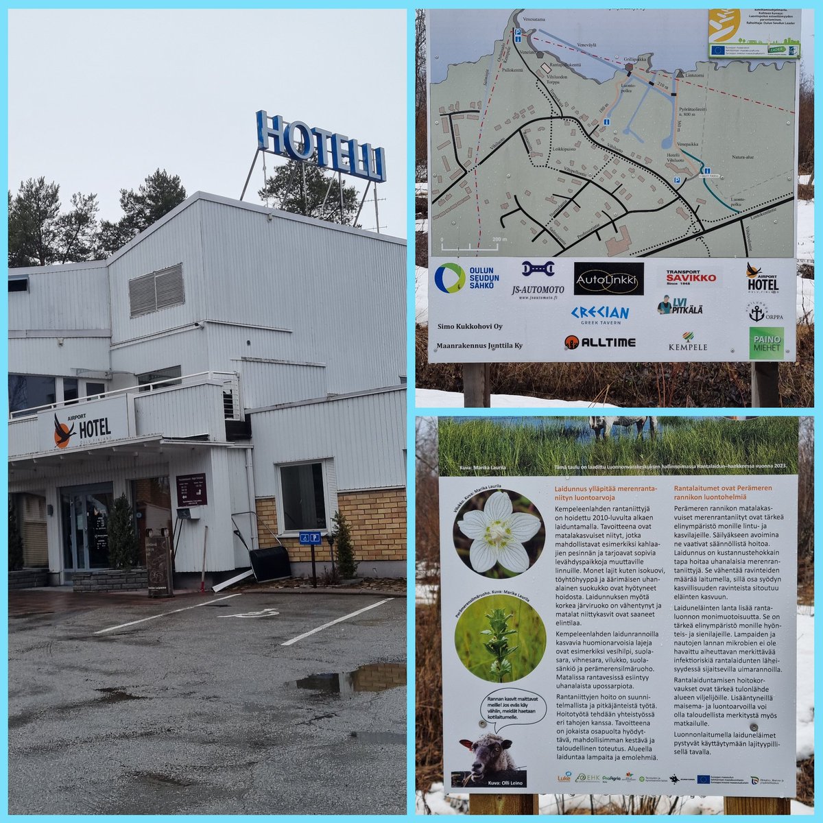 Sakari Alasuutari tweet media