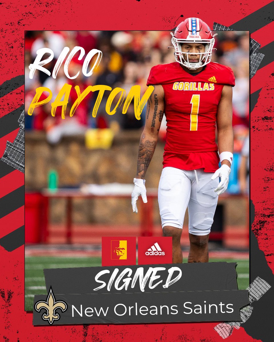 Rico is headed to New Orleans‼️ Former Gorilla All-American CB Rico Payton signs UDFA deal with the New Orleans Saints 🦍🏈 #NFLGorillas