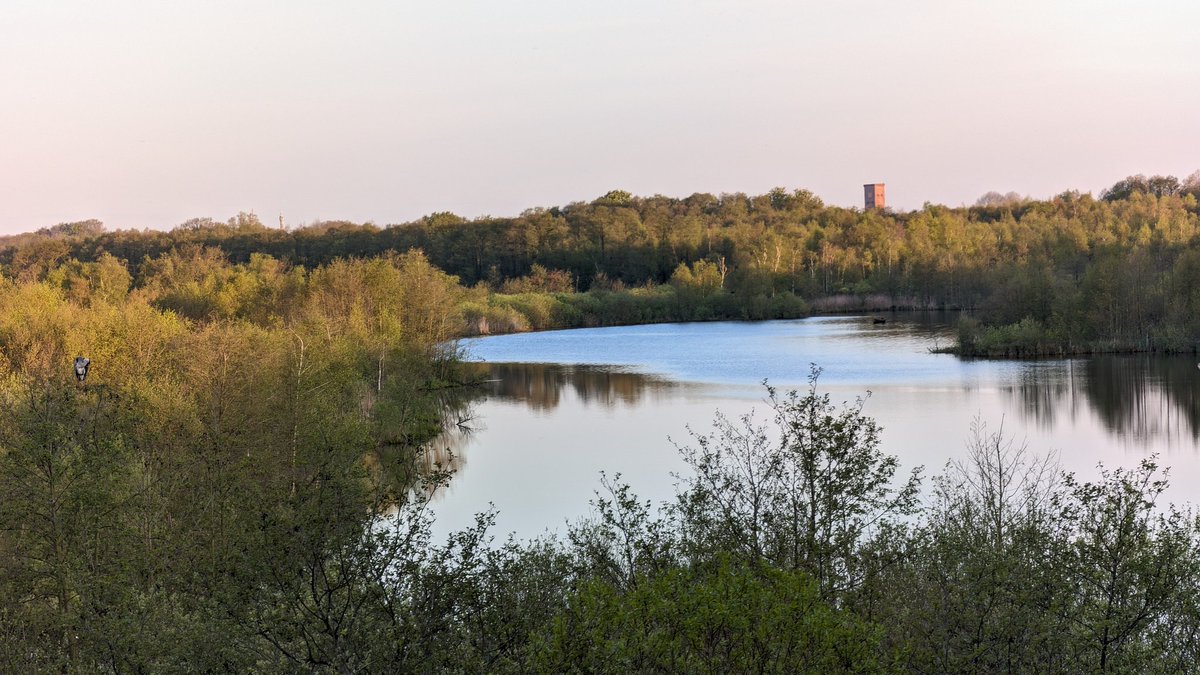 Es lohnt sich um 4.30 da zu sein