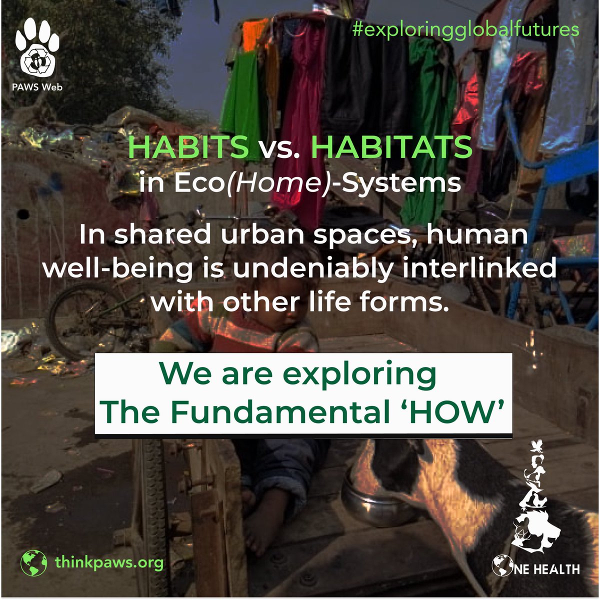 Explore the beauty in human wisdom, Homo sapiens, to coexist with other life forms. Join PAWS Web sessions to discuss the magic and challenges of fostering understanding & compassion for non-kins in modern urbanity. Email us at connect@thinkpaws.org #Coexistence #urban #ecology